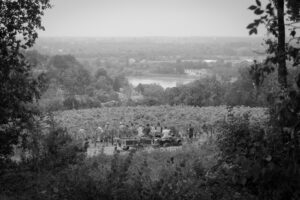 Vue du fleuve